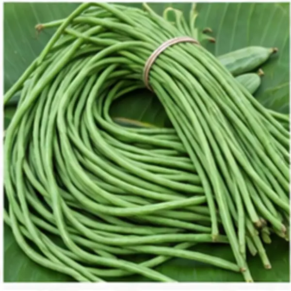 বরবটি