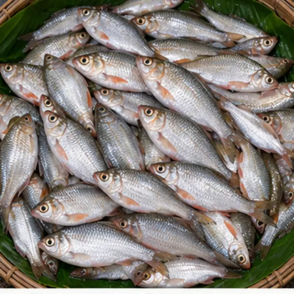 সরপুঁটি