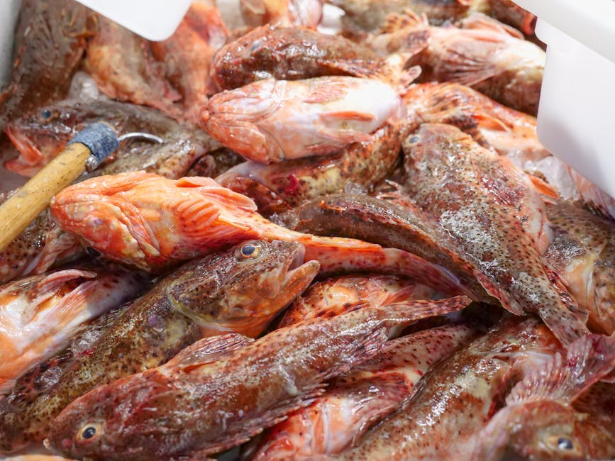 Fish & Meat